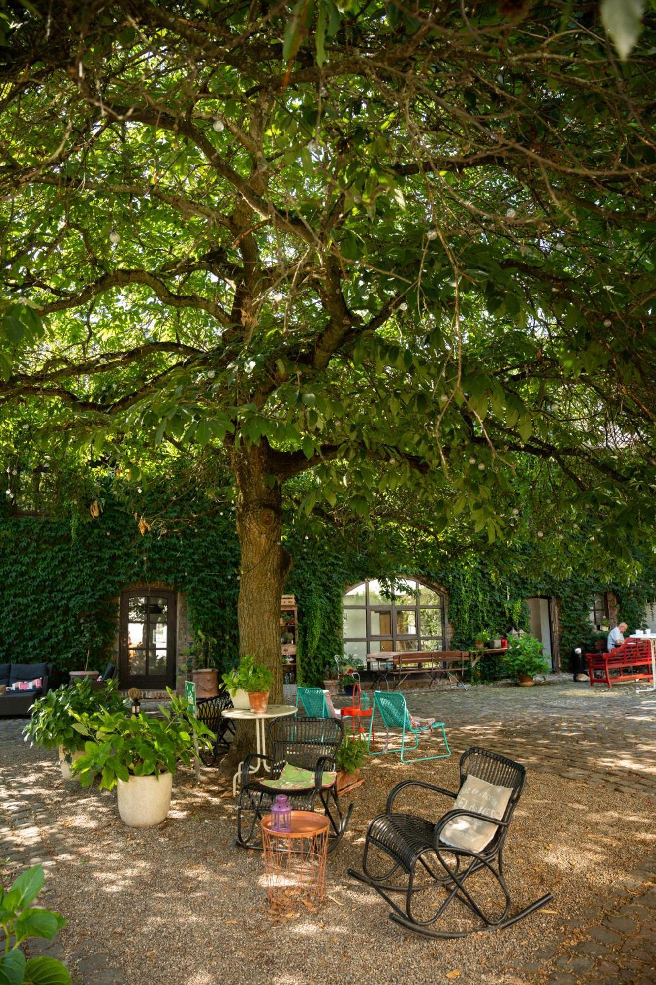 Landhaus Danielshof Bedburg Bagian luar foto